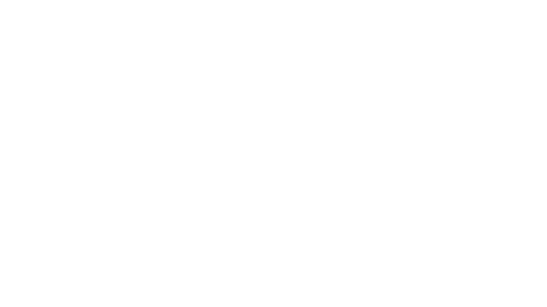 Flip's white logo